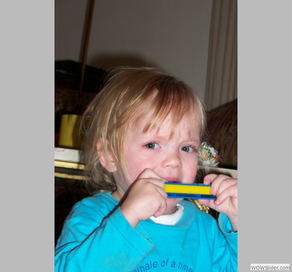 P0000376