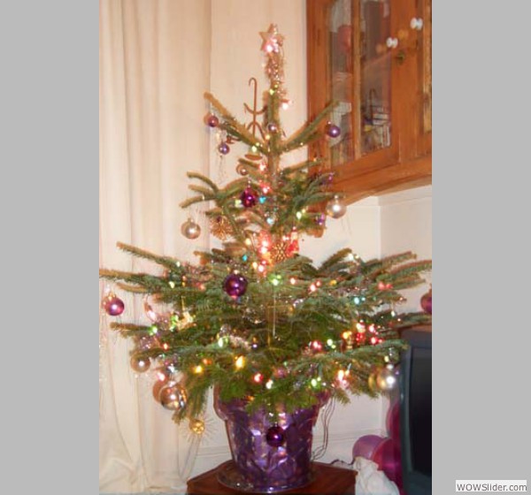 tree(ted)